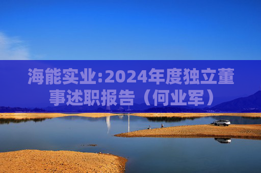 海能实业:2024年度独立董事述职报告(何业军)
