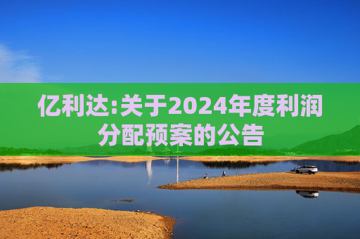 亿利达:关于2024年度利润分配预案的公告  第1张