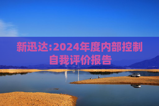新迅达:2024年度内部控制自我评价报告