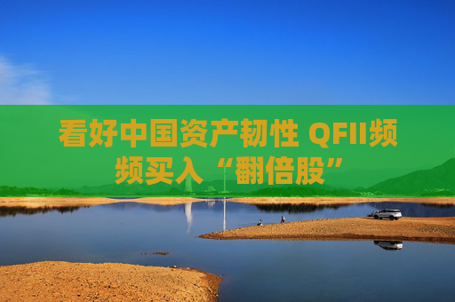 看好中国资产韧性 QFII频频买入“翻倍股”