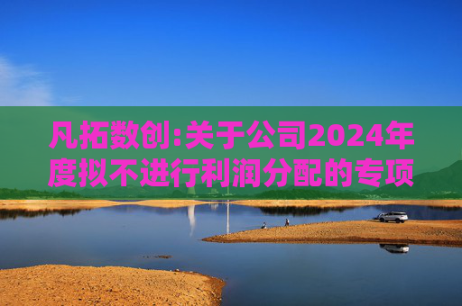 凡拓数创:关于公司2024年度拟不进行利润分配的专项说明
