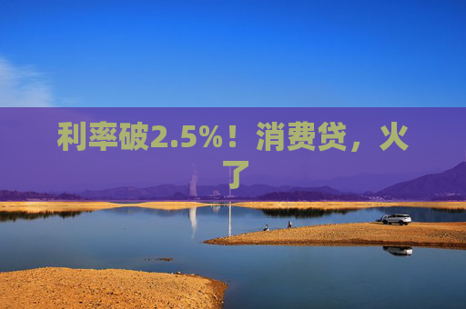 利率破2.5%！消费贷，火了