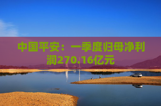 中国平安：一季度归母净利润270.16亿元  第1张