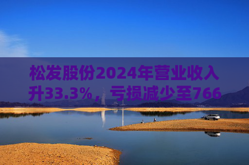 松发股份2024年营业收入升33.3%，亏损减少至7664万元  第1张