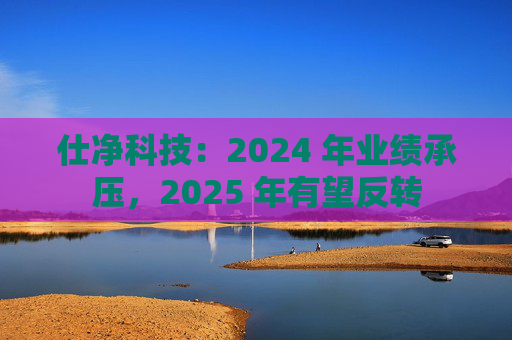 仕净科技：2024 年业绩承压，2025 年有望反转