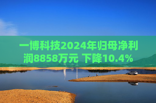 一博科技2024年归母净利润8858万元 下降10.4%