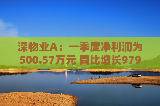 深物业A：一季度净利润为500.57万元 同比增长979.79%