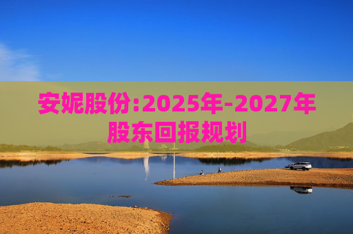 安妮股份:2025年-2027年股东回报规划  第1张