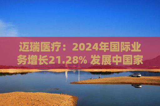 迈瑞医疗：2024年国际业务增长21.28% 发展中国家成重要增长引擎