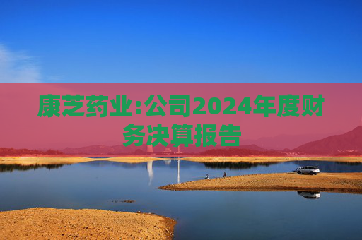 康芝药业:公司2024年度财务决算报告