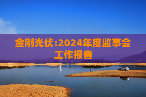 金刚光伏:2024年度监事会工作报告  第1张