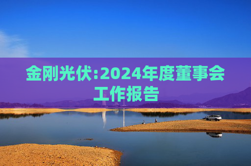 金刚光伏:2024年度董事会工作报告  第1张