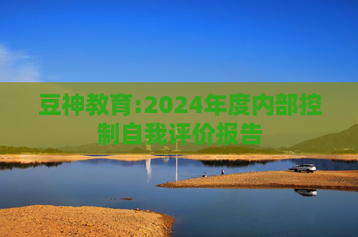 豆神教育:2024年度内部控制自我评价报告