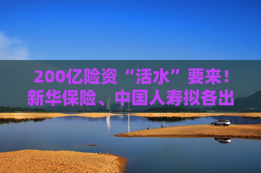 200亿险资“活水”要来！新华保险、中国人寿拟各出资100亿元认购二期鸿鹄基金