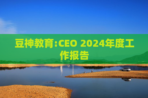 豆神教育:CEO 2024年度工作报告  第1张