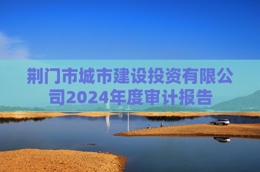 荆门市城市建设投资有限公司2024年度审计报告