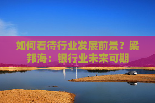 如何看待行业发展前景?梁邦海:银行业未来可期 第1张 如何看待行业发展前景?梁邦海:银行业未来可期 第1张