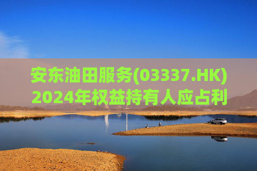 安东油田服务(03337.HK)2024年权益持有人应占利润2.43亿元 同比增长约23.5%