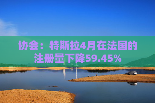 协会：特斯拉4月在法国的注册量下降59.45%
