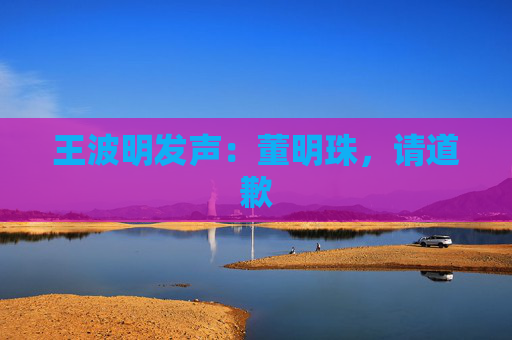 王波明发声：董明珠，请道歉