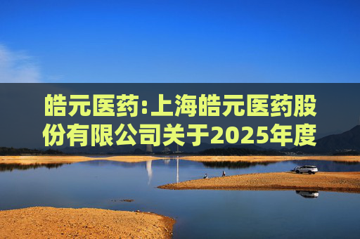 皓元医药:上海皓元医药股份有限公司关于2025年度日常关联交易预计的公告  第1张