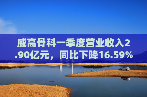 威高骨科一季度营业收入2.90亿元，同比下降16.59%
