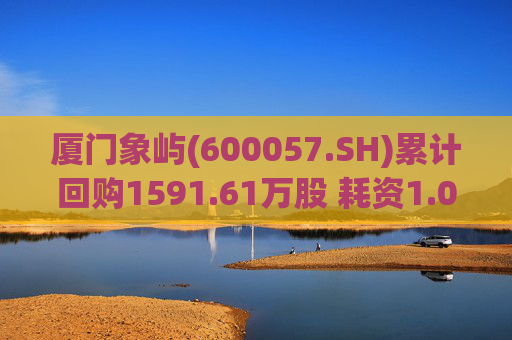 厦门象屿(600057.SH)累计回购1591.61万股 耗资1.03亿元
