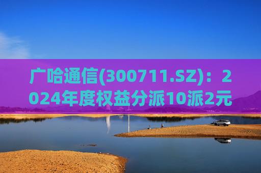 广哈通信(300711.SZ):2024年度权益分派10派2元 股权登记日5月12日 第1张 广哈通信(300711.SZ):2024年度权益分派10派2元 股权登记日5月12日 第1张