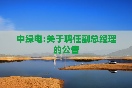 中绿电:关于聘任副总经理的公告