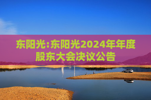 东阳光:东阳光2024年年度股东大会决议公告