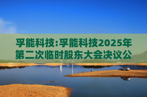 孚能科技:孚能科技2025年第二次临时股东大会决议公告