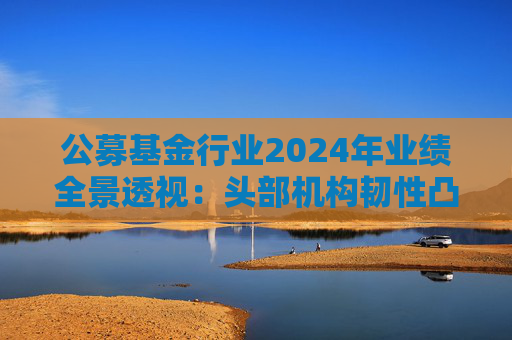 公募基金行业2024年业绩全景透视：头部机构韧性凸显 中小公司差异化突围