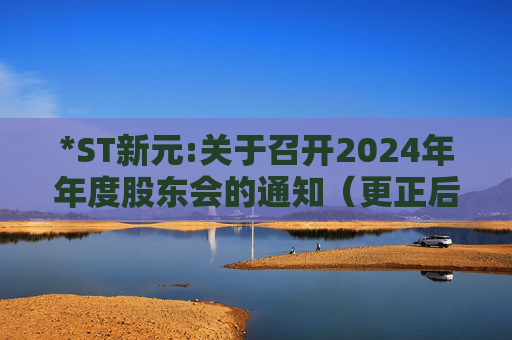 *ST新元:关于召开2024年年度股东会的通知（更正后）