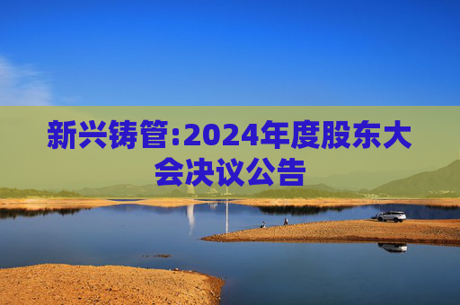 新兴铸管:2024年度股东大会决议公告