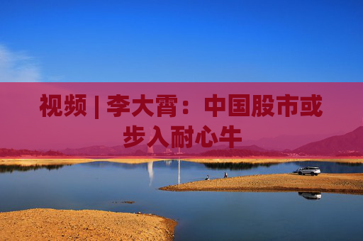 视频 | 李大霄：中国股市或步入耐心牛  第1张