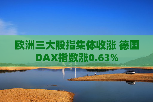 欧洲三大股指集体收涨 德国DAX指数涨0.63%