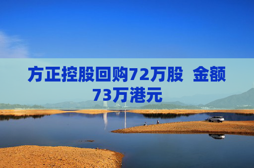 方正控股回购72万股  金额73万港元 第1张