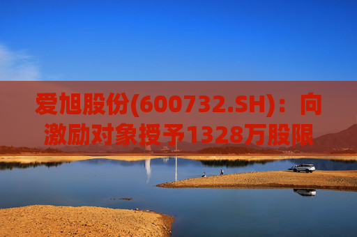 爱旭股份(600732.SH)：向激励对象授予1328万股限制性股票