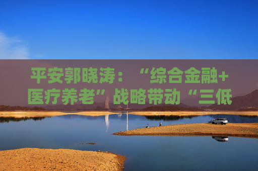 平安郭晓涛：“综合金融+医疗养老”战略带动“三低一高”和“三差”优化