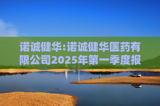 诺诚健华:诺诚健华医药有限公司2025年第一季度报告