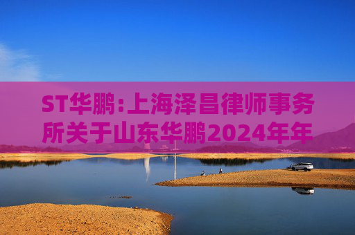 ST华鹏:上海泽昌律师事务所关于山东华鹏2024年年度股东大会的法律意见书  第1张