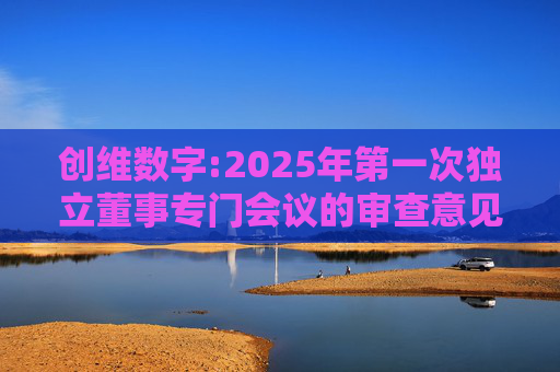 创维数字:2025年第一次独立董事专门会议的审查意见
