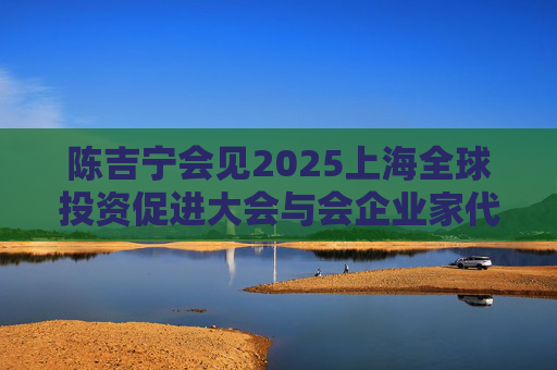 陈吉宁会见2025上海全球投资促进大会与会企业家代表