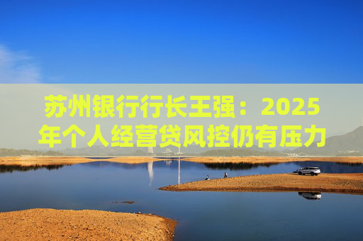 苏州银行行长王强：2025年个人经营贷风控仍有压力，但不会造成冲击