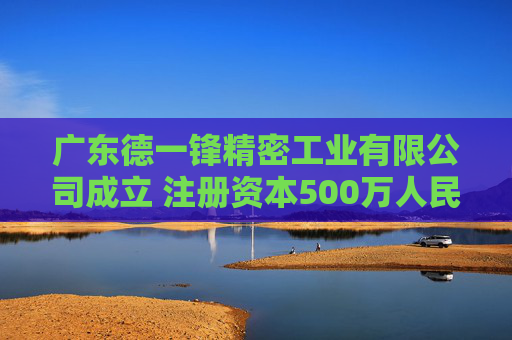 广东德一锋精密工业有限公司成立 注册资本500万人民币  第1张
