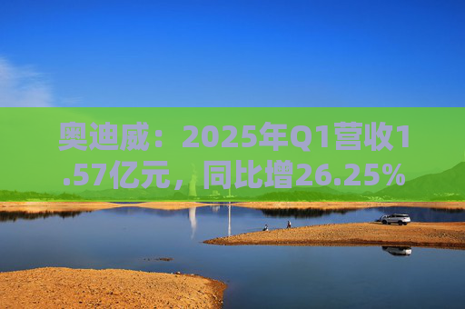 奥迪威：2025年Q1营收1.57亿元，同比增26.25%  第1张