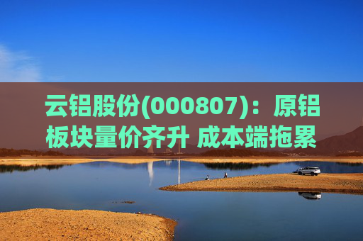 云铝股份(000807)：原铝板块量价齐升 成本端拖累Q4业绩