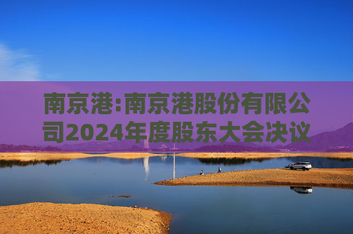 南京港:南京港股份有限公司2024年度股东大会决议公告
