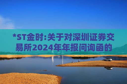 *ST金时:关于对深圳证券交易所2024年年报问询函的回复  第1张