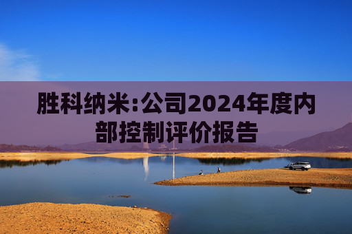 胜科纳米:公司2024年度内部控制评价报告